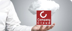 Company Cloud